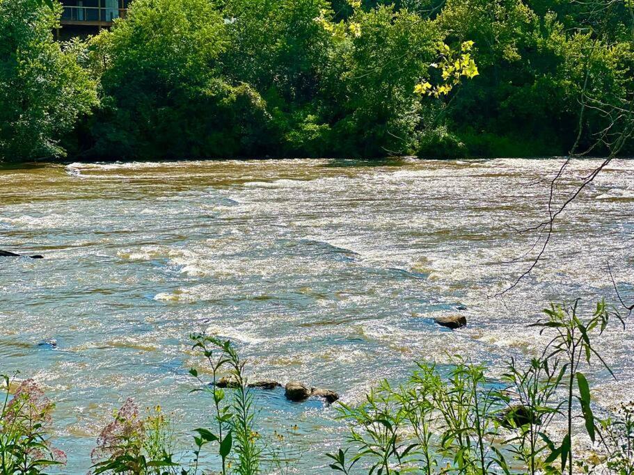 Riverside Relaxer W/Hot Tub+Fire Pit +Wifi & View Franklin Buitenkant foto