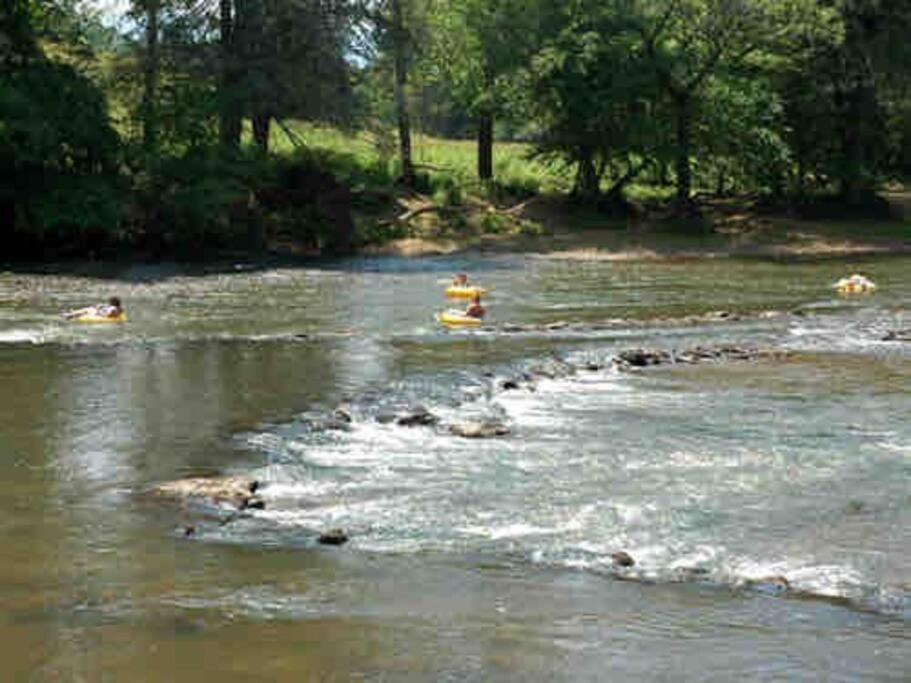 Riverside Relaxer W/Hot Tub+Fire Pit +Wifi & View Franklin Buitenkant foto